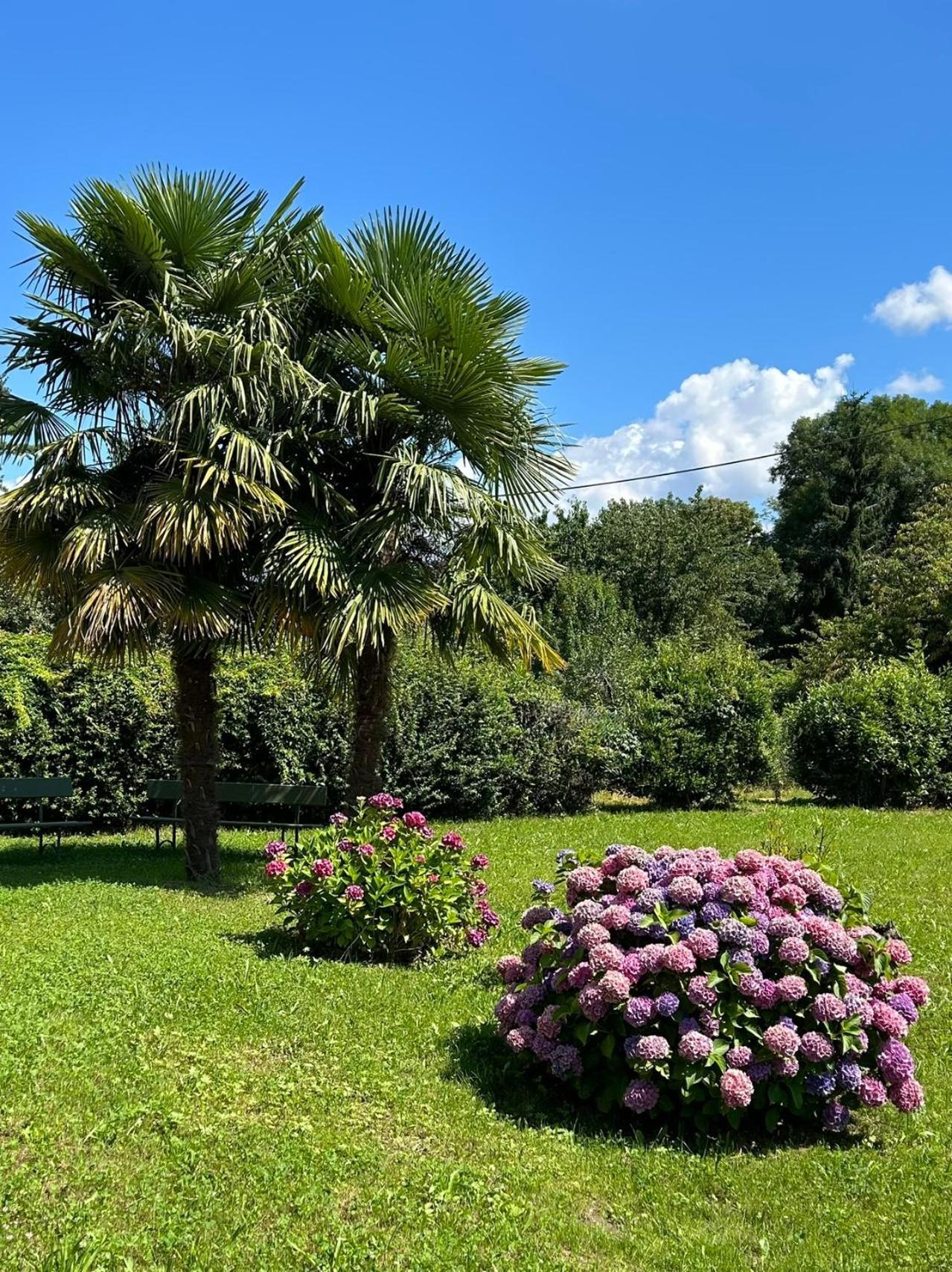 Villa Agnona Camere Borgosesia Exterior foto